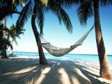 Hamac sur une plage paradisiaque 
